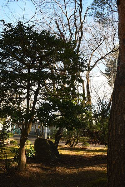 東北 植物|東北大学学術資源研究公開センター植物園